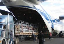 Ocean and air freight